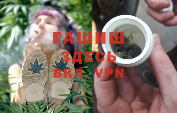 apvp Алексин